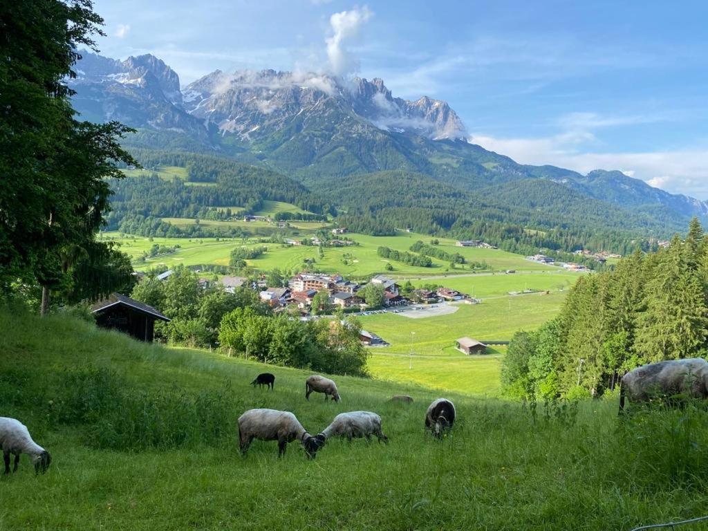 Alpen Studio Ellmau II Exterior foto